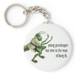 Funny Kung Fu Grasshopper