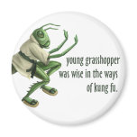 Funny Kung Fu Grasshopper