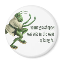 Funny Kung Fu Grasshopper