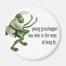 Funny Kung Fu Grasshopper Magnets