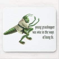 Funny Kung Fu Grasshopper
