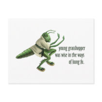 Funny Kung Fu Grasshopper