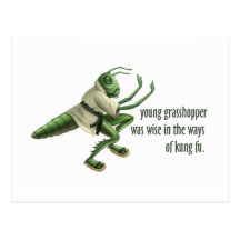 Funny Kung Fu Grasshopper Postcard