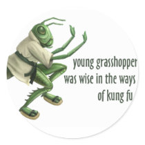 Funny Kung Fu Grasshopper