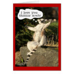 Funny Lemur Love You This Much Valentines Day Cards