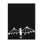 Funny Little Bat White