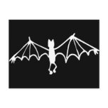 Funny Little Bat White