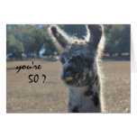 Funny Llama Birthday, 50th, Over the Hill Greeting Cards