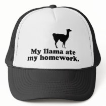 Funny Llama