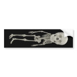 Funny looking skeleton bumper stickers