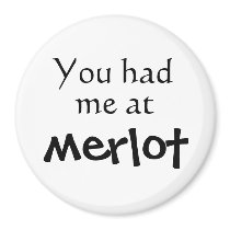 Funny magnets unique birthday gifts joke gift idea magnets