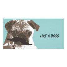 Funny Moustache Pug Photo Cards