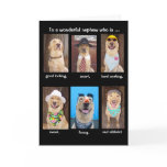 Funny Nephew Birthday Card