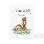 Funny, No Chocolate, No Smile, Angry Duck, Bird Greeting Cards