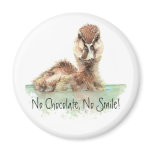 Funny, No Chocolate, No Smile, Angry Duck, Bird Refrigerator Magnets