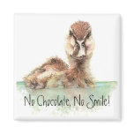 Funny, No Chocolate, No Smile, Angry Duck, Bird Refrigerator Magnet