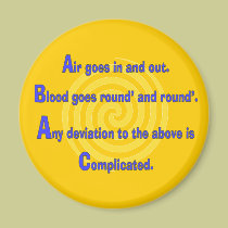 Funny Nurse or Respiratory Therapy Gifts magnets