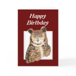 Funny Old Age, Over the Hill Birthday Owl Greeting Cards