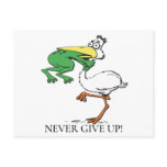 Funny Pelican