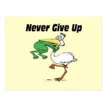 Funny Pelican Postcard