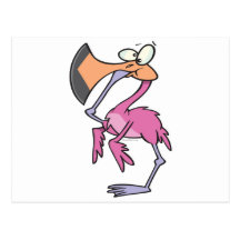 funny pink flamingo with foot in mouth post card