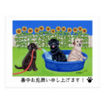 Funny Pool Party Labradors 葉書き