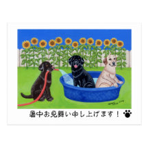 Funny Pool Party Labradors 葉書き