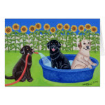 Funny Pool Party Labradors Card