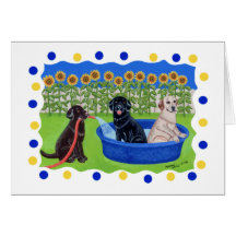 Funny Pool Party Labradors Greeting Card