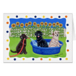 Funny Pool Party Labradors Greeting Card