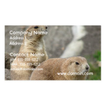 Funny Prairie Dogs Business Card