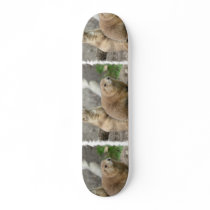 Funny Prairie Dogs Skateboard