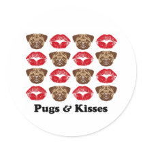 Funny Pug