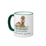 Funny Quote about Life Sucks Cute Angry Duck, Bird Mugs