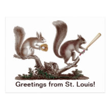 Funny Rally Squirrel Greetings from St. Louis! Post Card