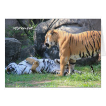 Funny Retirement Card, sleeping tiger