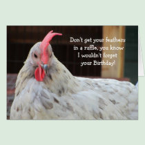 Funny Rooster Birthday cards