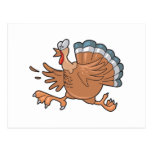 funny scared turkey post card
