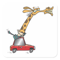 funny silly giraffe in a car commuting stickers