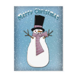 Funny Snowman with hat and scarf Post Cards
