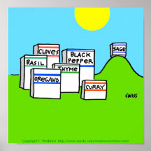 Funny Spice Kitchen Cartoon Poster