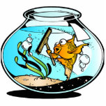 Funny Spring Cleaning Fish photo sculptures