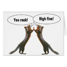 Funny Squirrel Birthday Card