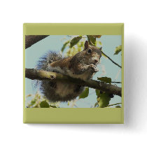 Funny Squirrel Pinback Button