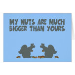 Funny squirrel