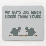 Funny squirrel nuts