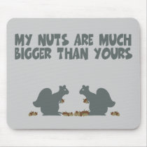 Funny squirrel nuts
