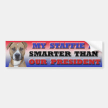 Funny Staffordshire Staffie Bumper Sricker Bumper Sticker