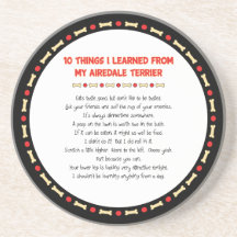 Funny Things I Learned From My Airedale Terrier Coaster