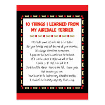 Funny Things I Learned From My Airedale Terrier Postcards